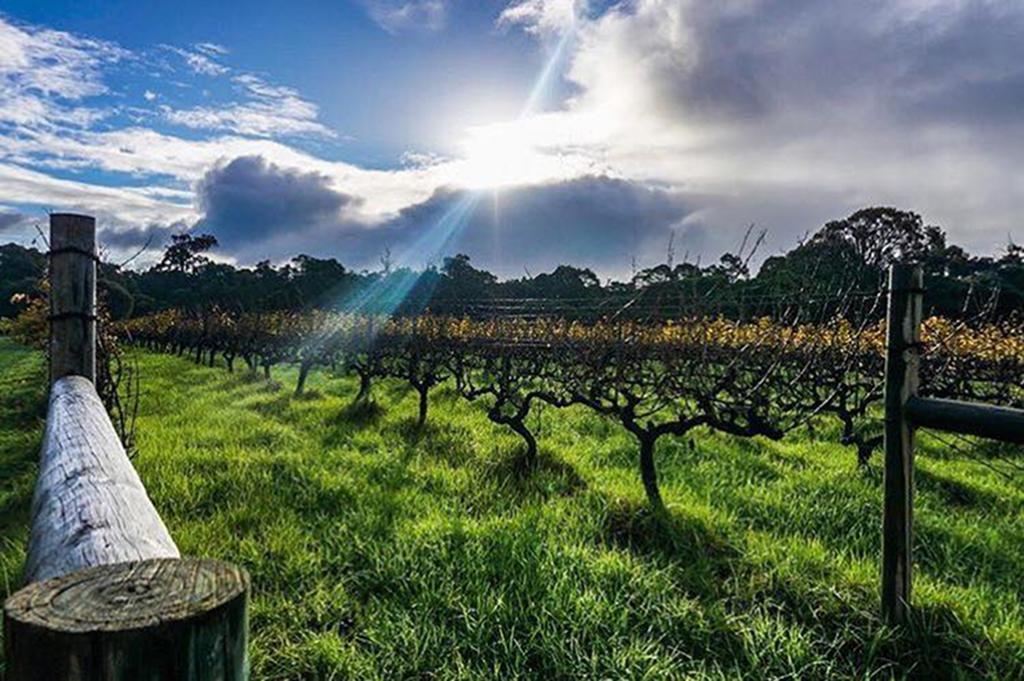 Island Brook Estate Winery And Chalets Margaret River Eksteriør billede