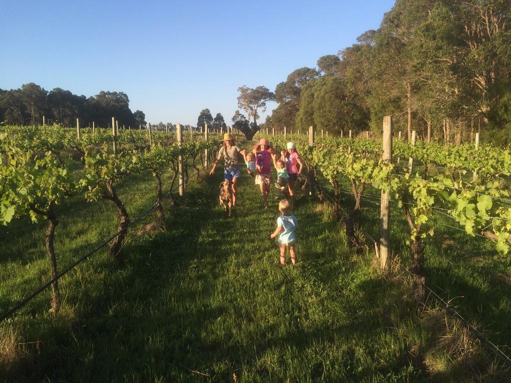 Island Brook Estate Winery And Chalets Margaret River Eksteriør billede