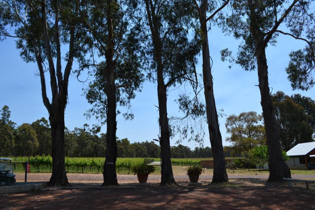 Island Brook Estate Winery And Chalets Margaret River Eksteriør billede